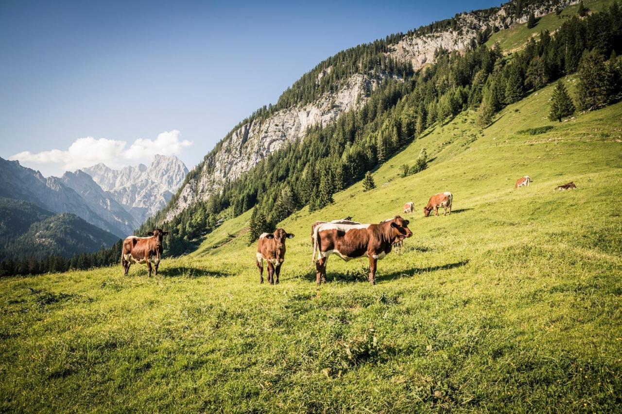 Exklusive Fewo Drachleck Mit 3 Schlafzimmern & Panoramabergblick In Bester Lage Schönau am Königssee Exteriör bild